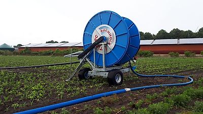 Buchholz ST7 110/500