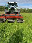 Rollhacke Unkrautmaschine Hacke Striegel Mais Weihnachtsbäume