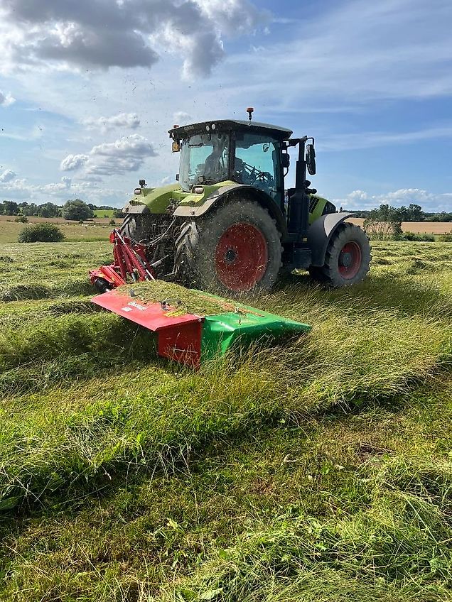 Enorossi DMC 6 Roll Walzenaufbereiter