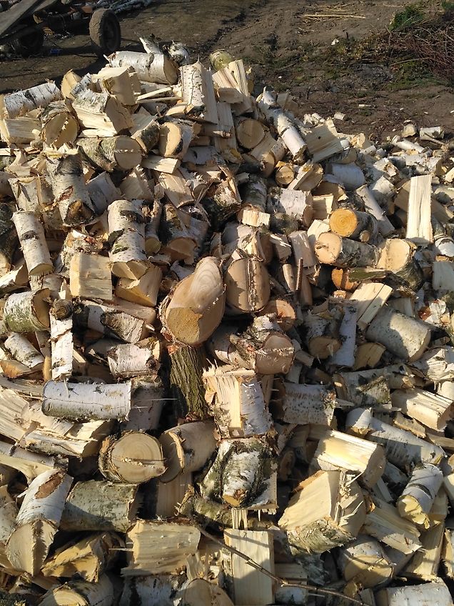 REMET CNC Holzhacker R-150 m. 3 Meter Förderband