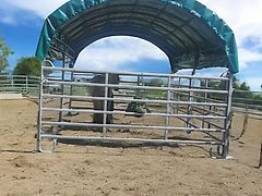 DM-Handel GmbH Weidepanel Zelt 3,6x6m✅Weidezelt Weideunterstand Weidezaun Stallzelt Panelzelt Pferd Rind Zelt Stall Unterstand Zeltbox Rundbogen Rundbogenzelt Planenzelt Steckfixzelt Offenstall Schafe Ziegen Alpaka