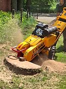 Laski Stubbenfräse Baumstumpffräse Stockfräse Wurzelstockfräse