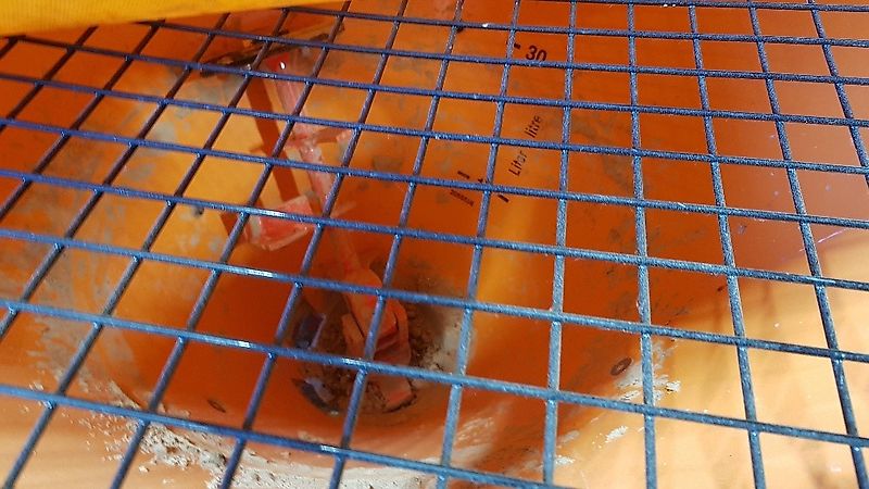 Rauch SA 121R MY2020