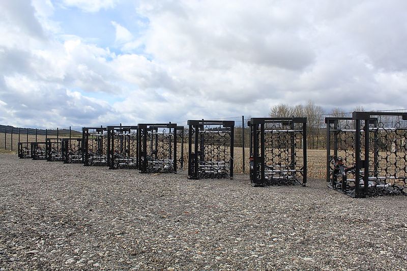 SAT Wiesenschleppe, Wiesenegge - Aktion