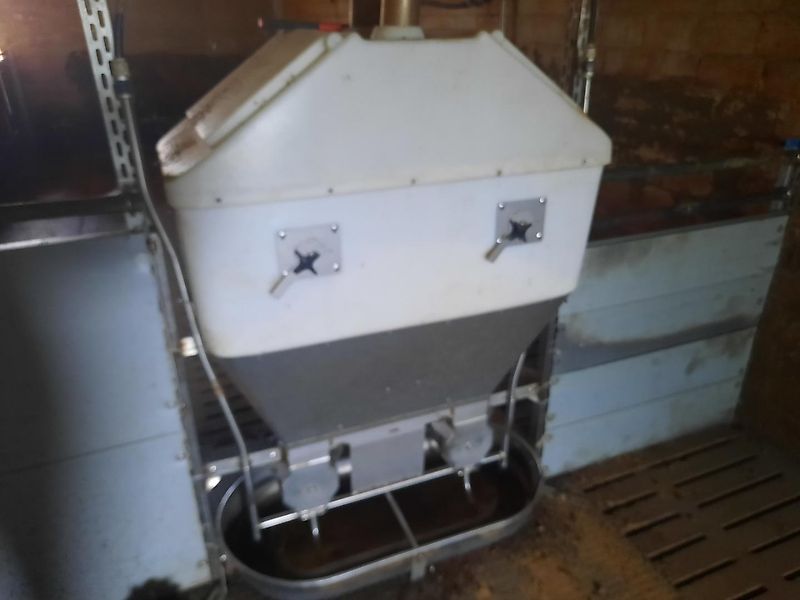 Domino Star Feeder S Flex Double